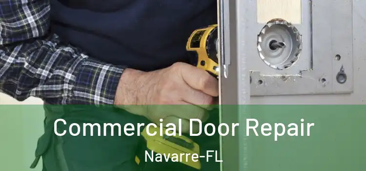  Commercial Door Repair Navarre-FL