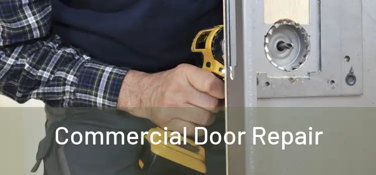 Commercial Door Repair