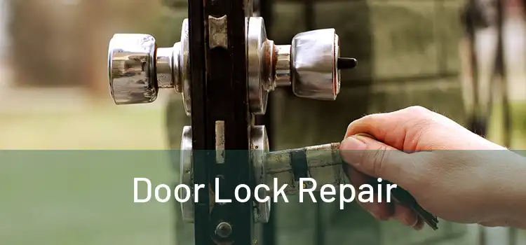 Door Lock Repair