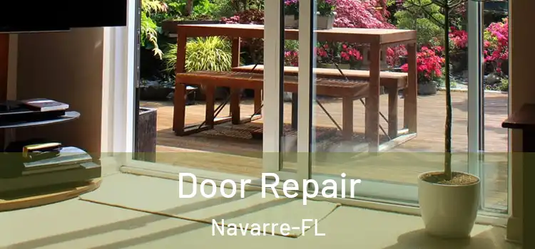  Door Repair Navarre-FL