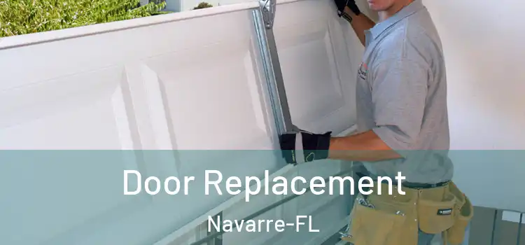  Door Replacement Navarre-FL