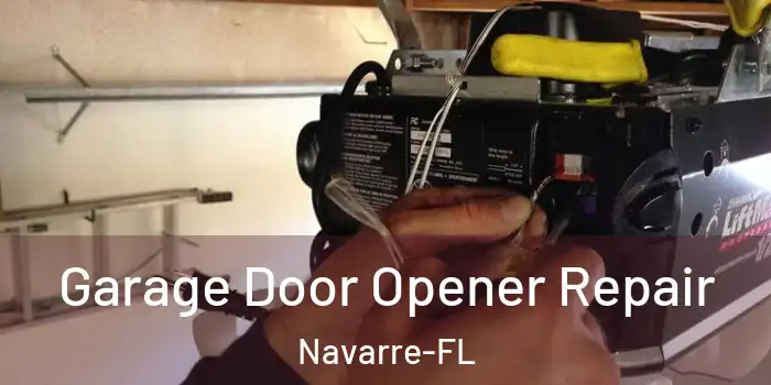  Garage Door Opener Repair Navarre-FL