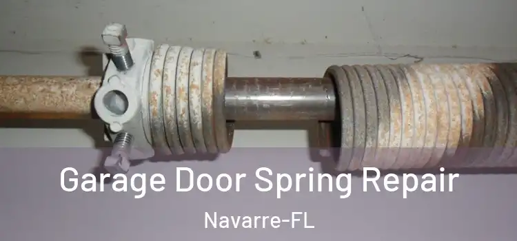  Garage Door Spring Repair Navarre-FL