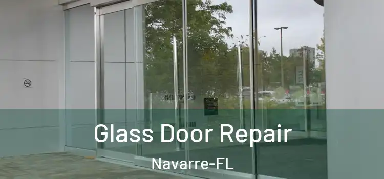  Glass Door Repair Navarre-FL