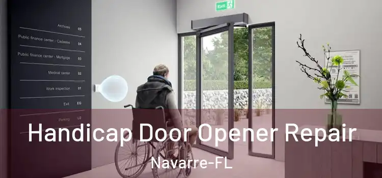  Handicap Door Opener Repair Navarre-FL