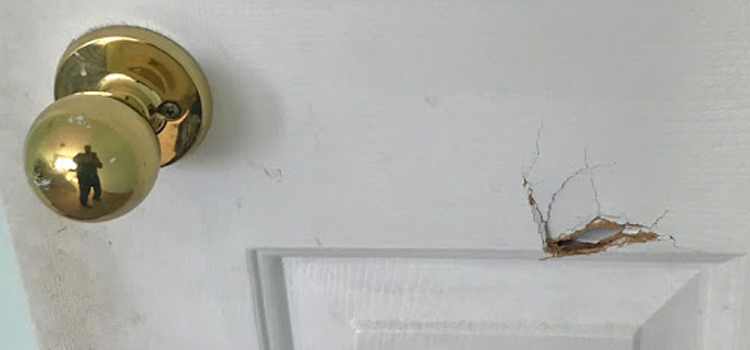 interior door hole repair Navarre