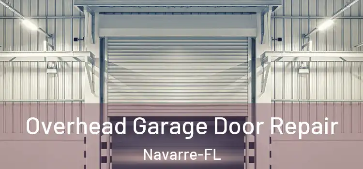  Overhead Garage Door Repair Navarre-FL